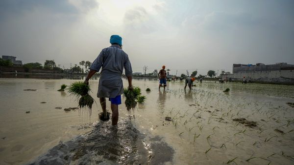 ರಾಜ್ಯದಲ್ಲಿ ಒಂದೂವರೆ ವರ್ಷದ ಅವಧಿಯಲ್ಲಿ 1,800ಕ್ಕೂ ಹೆಚ್ಚು ರೈತರು ಆತ್ಮಹತ್ಯೆ!