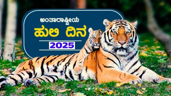International Tiger Day 2025 : ವಿಶ್ವ ಹುಲಿ ದಿನ ಆಚರಣೆ, ಮಹತ್ವ, ಹಿನ್ನಲೆ : ಈ ವರ್ಷದ ಥೀಮ್‌ ಏನು?