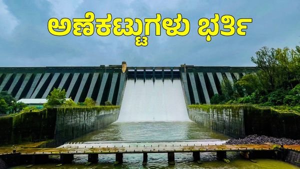 Karnataka Dam Water Level: ಭಾರೀ ಮಳೆಗೆ ರಾಜ್ಯದ ಅಣೆಕಟ್ಟುಗಳು ಭರ್ತಿ, ಹೊರಹರಿವು ಹೆಚ್ಚಳ! ವಿವರ