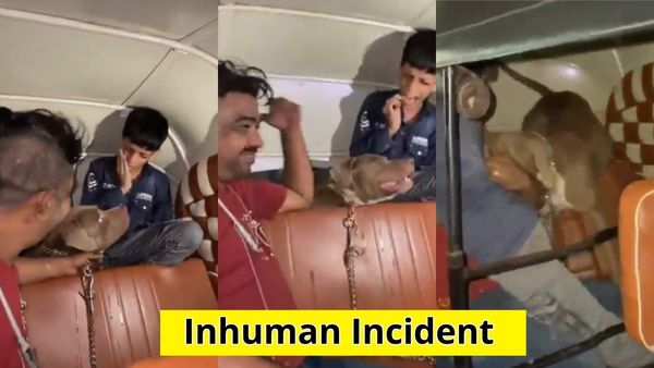 Viral Video: ಆಟೋದಲ್ಲಿ ಬಾಲಕನ ಮೇಲೆ ಪಿಟ್‌ಬುಲ್ ದಾಳಿ: ಸಾಕುನಾಯಿ ಮಾಲೀಕನ ಕ್ರೂರ ನಗು ವೈರಲ್...!