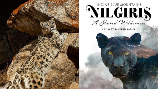 NILGIRIS: ಜೀವವೈವಿಧ್ಯ ಕುರಿತ ವಿಶಿಷ್ಟ 'ನಿಲಗಿರೀಸ್' ಸಾಕ್ಷ್ಯಚಿತ್ರ ಜುಲೈ 18ರಂದು ಭಾರತಾದ್ಯಂತ ಬಿಡುಗಡೆ