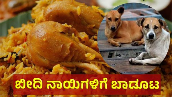 ಬೆಂಗಳೂರಿನ ಬೀದಿ ನಾಯಿಗಳಿಗೆ ಚಿಕನ್‌ ರೈಸ್‌: ಜನರ ದುಡ್ಡಿಂದ ಬಿಬಿಎಂಪಿ ಖರ್ಚು!