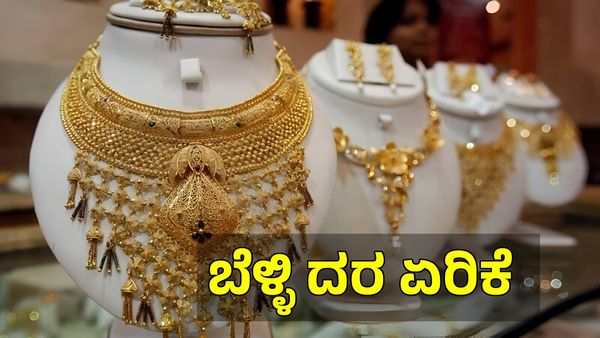 Gold Price on July 15: ಚಿನ್ನದ ಬೆಲೆಯಲ್ಲಿ ಭರ್ಜರಿ ಇಳಿಕೆ! ಬೆಳ್ಳಿ ದರ ₹4000 ಏರಿಕೆ, ಇಂದು ಎಷ್ಟಿದೆ?