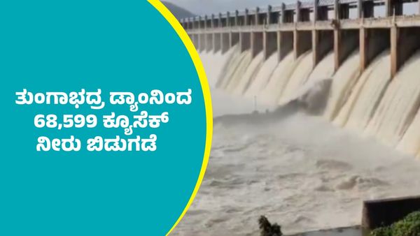 Tungabhadra Dam: ತುಂಗಾಭದ್ರ ಡ್ಯಾನಿಂದ 68,599 ಕ್ಯೂಸೆಕ್‌ ನೀರು ಬಿಡುಗಡೆ; ಜನರಿಗೆ ಪ್ರಮುಖ ಸೂಚನೆ ಏನು?