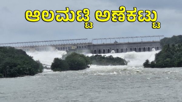 Almatti Dam: ಆಲಮಟ್ಟಿ ಡ್ಯಾಂ ಎತ್ತರ ಹೆಚ್ಚಳ! ಕೇಂದ್ರಕ್ಕೆ ಬಿಜೆಪಿ ಸಂಸದರ ನಿಯೋಗ ಮನವರಿಕೆ