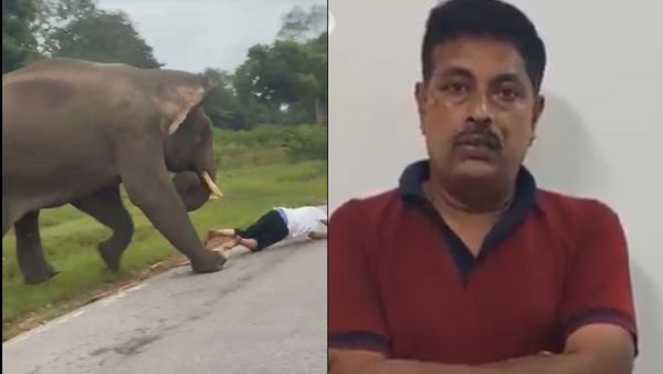 Video: ಆನೆ ದಾಳಿಯಿಂದ ತಪ್ಪಿಸಿಕೊಂಡ ವ್ಯಕ್ತಿಗೆ ಆರಣ್ಯ ಇಲಾಖೆಯಿಂದ ₹25000 ದಂಡ: ಜಾಗೃತಿ ವಿಡಿಯೋ..