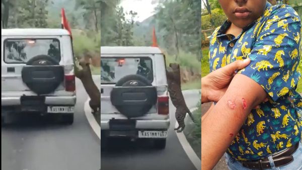 Video Viral: ಬನ್ನೇರುಘಟ್ಟ ಸಫಾರಿ ವಾಹನದ ಮೇಲೆ ಚಿರತೆ ದಾಳಿ! ಮುಂದೇನಾಯ್ತು?