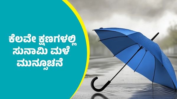 IMD Weather Forecast: ಕೆಲವೇ ಕ್ಷಣಗಳಲ್ಲಿ ಈ ಭಾಗಗಳಲ್ಲಿ ಸುನಾಮಿ ಮಳೆ ಮುನ್ಸೂಚನೆ: IMD ಎಚ್ಚರಿಕೆ ಏನು ಗೊತ್ತಾ?