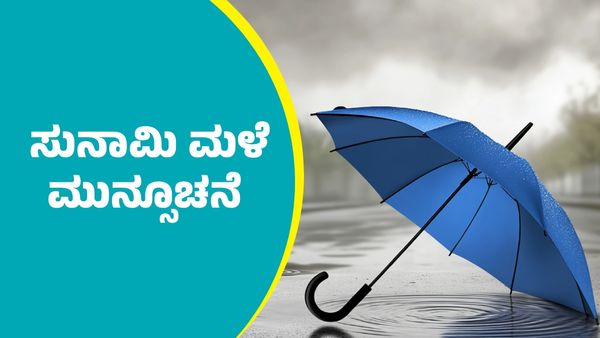 IMD Weather Forecast: ಈ ಭಾಗಗಳಲ್ಲಿ ಆಗಸ್ಟ್‌ 26ರವರೆಗೆ ಸುನಾಮಿ ಮಳೆ ಮುನ್ಸೂಚನೆ