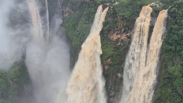 Jog Falls: ಗತವೈಭವಕ್ಕೆ ಮರಳಿದ ವಿಶ್ವ ಪ್ರಸಿದ್ಧ ಜೋಗ ಜಲಪಾತ: ಮುಂದುವರಿದ ಭಾರೀ ಮಳೆ