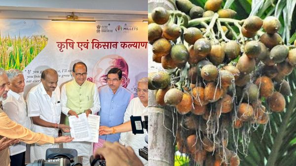 ಅಡಕೆ ಬೆಳೆಗಾರರ ಸಂಕಷ್ಟ; ಕೇಂದ್ರದಲ್ಲಿ ಮಹತ್ವದ ಚರ್ಚೆ; ಸಿಕ್ಕ ಭರವಸೆಯೇನು?