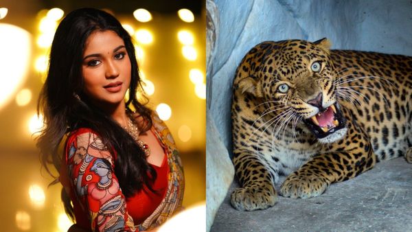 ರಾತ್ರಿ ಶೂಟಿಂಗ್‌ ವೇಳೆ ಚಿರತೆ ಬಂತು, ಇಬ್ಬರೇ ಇದ್ವಿ... 'ಮಹಾನಟಿ' ಪ್ರಿಯಾಂಕಾ ಅಂದು ಪಾರಾಗಿದ್ದೇಗೆ?