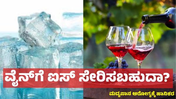 Wine: ವೈನ್‌ಗೆ ಐಸ್‌ ಕ್ಯೂಬ್ ಸೇರಿಸುವುದರಿಂದ ಟೇಸ್ಟ್‌ ಚೇಂಜ್ ಆಗುತ್ತಾ ?