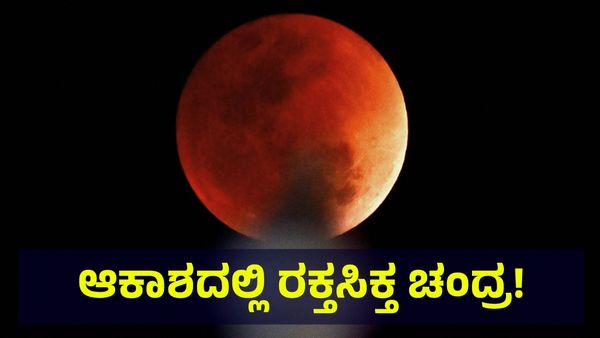 Blood Moon 2025: ಆಕಾಶದಲ್ಲಿ ರಕ್ತಸಿಕ್ತ ಚಂದ್ರ, ಗ್ರಹಣ ವೀಕ್ಷಣೆ ಸಮಯ ಏನು?