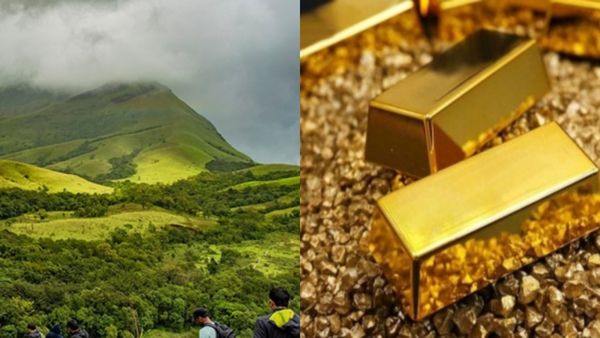 Gold: ಕರ್ನಾಟಕಕ್ಕೆ ಗೋಲ್ಡನ್‌ ಜಾಕ್‌ಪಾಟ್‌: ಈ ಜಿಲ್ಲೆಯಲ್ಲಿ 10 ಸಾವಿರ ಎಕರೆಯಲ್ಲಿ ಬಂಗಾರವೋ ಬಂಗಾರ!