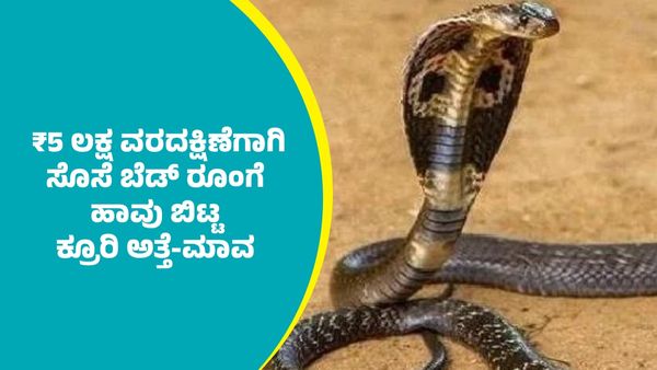 ₹5,00,000 ವರದಕ್ಷಿಣೆ ನೀಡದಿದ್ದಕ್ಕೆ ಸೊಸೆಗೇ ಹಾವು ಕಚ್ಚಿಸಿದ ಕ್ರೂರಿ ಅತ್ತೆ-ಮಾವ: ಮುಂದೇನಾಯ್ತು?