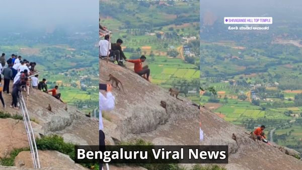 Video Viral: ಕೋತಿ ಮಾಡಿದ ಅವಾಂತರಕ್ಕೆ ಶಿವಗಂಗೆ ಬೆಟ್ಟದ ತುದಿಗೆ ಇಳಿದ ವ್ಯಕ್ತಿ: ಮುಂದೇನಾಯ್ತು..?