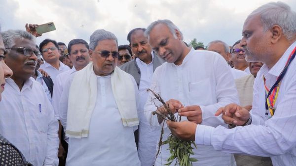 ಕರ್ನಾಟಕದ ಬೆಳೆಹಾನಿ ರೈತರಿಗೆ ಸಿಎಂ ಸಿದ್ದರಾಮಯ್ಯ ಗುಡ್‌ನ್ಯೂಸ್! ಮೊದಲು ಜಂಟಿ ಸಮೀಕ್ಷೆಗೆ ಸೂಚನೆ