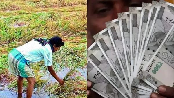 ಬೆಳೆಹಾನಿ ಪರಿಹಾರ ಬಿಡುಗಡೆ: ಯಾವ ಜಮೀನಿಗೆ ಎಷ್ಟು? ಮಾಹಿತಿ ಇಲ್ಲಿದೆ.
