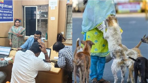 ಬೆಂಗಳೂರಿನ ಈ ಭಾಗದಲ್ಲಿ ನಾಯಿಗಳ ಹಾವಳಿ ಹೆಚ್ಚಳ!