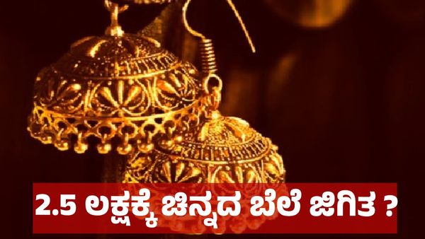 ₹ 2,50,000 ರೂಪಾಯಿ ಆಗಲಿದೆ ಚಿನ್ನದ ಬೆಲೆ, ಚಿನ್ನದ ಹೂಡಿಕೆಗೆ ಇದು ಬೆಸ್ಟ್‌ ಟೈಮ್ ? Gold Prices