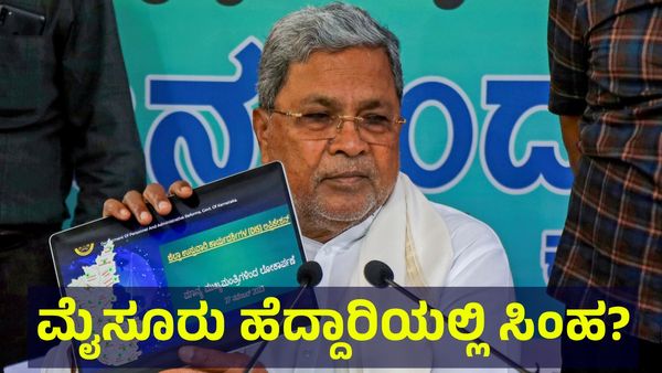 ಬೆಂಗಳೂರು & ಮೈಸೂರು ಹೆದ್ದಾರಿಯಲ್ಲಿ ನರಭಕ್ಷಕ ಸಿಂಹ ಓಡಾಟ ನಡೆಸುತ್ತಾ ಇದೆಯಾ... Bengaluru Mysuru Expressway