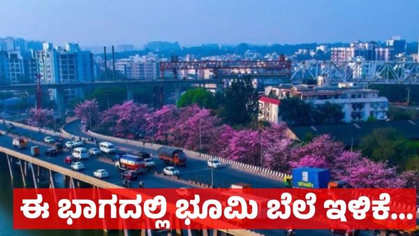 Bengaluru Property: ಬೆಂಗಳೂರಿನ ಈ ಭಾಗದಲ್ಲಿ ಭೂಮಿ, ಆಸ್ತಿಗಳ ಬೆಲೆ ದಿಢೀರ್ ಇಳಿಕೆ: ರಿಯಲ್ ಎಸ್ಟೇಟ್‌ಗೆ ಶಾಕ್!