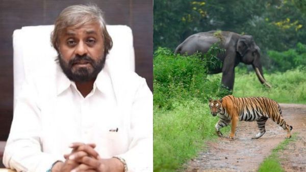 ನಾಗರಹೊಳೆ, ಬಂಡೀಪುರ ಸಫಾರಿ, ಚಾರಣ ಇಂದಿನಿಂದಲೇ ಬಂದ್: ಈಶ್ವರ ಖಂಡ್ರೆ ಮಹತ್ವದ ಮಾಹಿತಿ