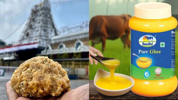 Nandini Ghee: ತಿರುಪತಿ ಲಡ್ಡುಗಾಗಿ ಕರ್ನಾಟಕದ ನಂದಿನಿ ತುಪ್ಪಕ್ಕೆ ಹೆಚ್ಚುವರಿ ಬೇಡಿಕೆ ಇಟ್ಟ ಟಿಟಿಡಿ