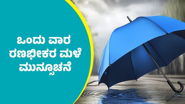 IMD Weather Forecast: ಶೀತಗಾಳಿ ನಡುವೆಯೂ ಈ ಭಾಗಗಳಲ್ಲಿ ಒಂದು ವಾರ ರಣಭೀಕರ ಮಳೆ ಮುನ್ಸೂಚನೆ