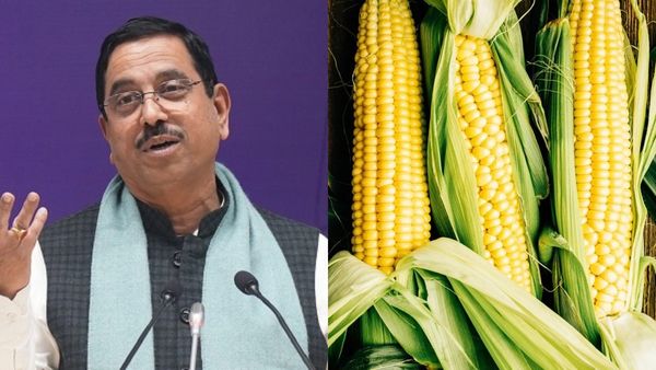 Maize: ಮಕ್ಕೆಜೋಳ ಖರೀದಿಯಲ್ಲಿ ಸರ್ಕಾರ ವಿಫಲ, ಆಮದು ಆರೋಪ ಸುಳ್ಳು: ಪ್ರಹ್ಲಾದ್ ಜೋಶಿ