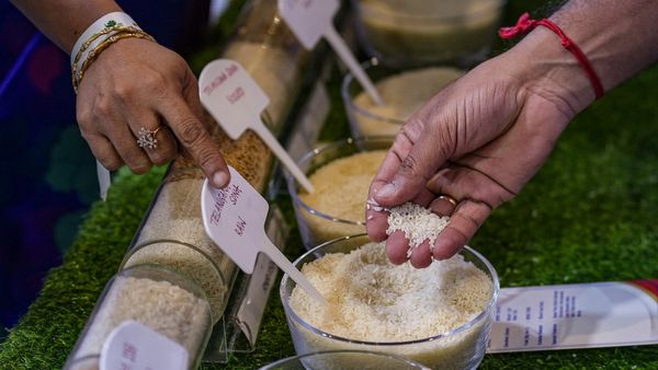 Rice Price Hike: ಅಕ್ಕಿ ಬೆಲೆ 10 ರೂಪಾಯಿ ಹೆಚ್ಚಳ ಸಾಧ್ಯತೆ, ಇದಕ್ಕೆ ಕಾರಣ ಇಲ್ಲಿದೆ