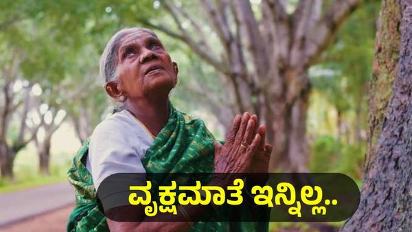 Saalumarada Thimmakka: ಸಾಲುಮರದ ತಿಮ್ಮಕ್ಕ ಇಂದು ವಿಧಿವಶ, ಗಣ್ಯರ ಸಂತಾಪ