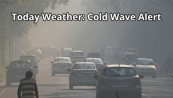 India Cold Wave: ದೆಹಲಿಯಲ್ಲಿ 11ವರ್ಷದಲ್ಲೇ ದಾಖಲೆಯ ಚಳಿ! ತಾಪಮಾನ ಕುಸಿತ, ಈ ಭಾಗಗಳಿಗೆ ಮಳೆ ಎಚ್ಚರಿಕೆ
