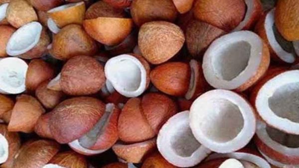 ತೆಂಗು ಬೆಳೆಗಾರರಿಗೆ ಗುಡ್‌ನ್ಯೂಸ್‌; ಕೊಬ್ಬರಿ ಬೆಂಬಲ ಬೆಲೆ ಹೆಚ್ಚಿಸಿದ ಕೇಂದ್ರ ಸರ್ಕಾರ: ಎಷ್ಟು ದರ?