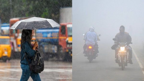 IMD Weather: ಈ ಭಾಗಗಳಲ್ಲಿ ಮಳೆ ಎಚ್ಚರಿಕೆ, ದಟ್ಟ ಮಂಜು ಸಹಿತ ಚಳಿ ಸಾಧ್ಯತೆ