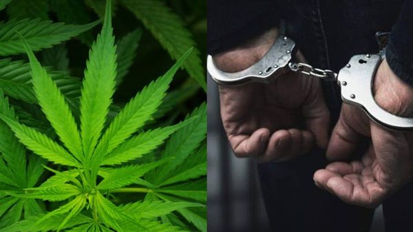 Ganja Home Delivery: ಆಪ್‌ ಮೂಲಕ ಗಾಂಜಾ ಹೋಂ ಡೆಲಿವರಿ, ಖತರ್ನಾಕ್‌ ಗ್ಯಾಂಗ್‌ ಸಿಕ್ಕಿಬಿದ್ದಿದ್ದೇಗೆ?