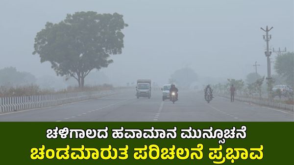 IMD Weather: ಕರ್ನಾಟಕ, ದೇಹಲಿ ಸೇರಿ ಈ ಭಾಗಗಳಲ್ಲಿ ಅಧಿಕ ಚಳಿ, ಶೀತ ಅಲೆ ಮುನ್ಸೂಚನೆ
