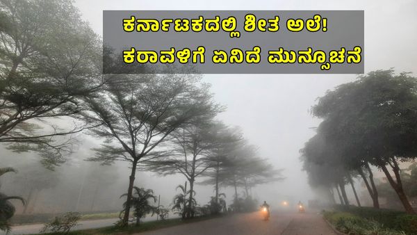Karnataka Weather: ಇಂದು ಐದು ಜಿಲ್ಲೆಗಳಲ್ಲಿ ಭಾರೀ ಚಳಿ, ಶೀತಗಾಳಿ: ತಾಪಮಾನ ತೀವ್ರ ಕುಸಿತ