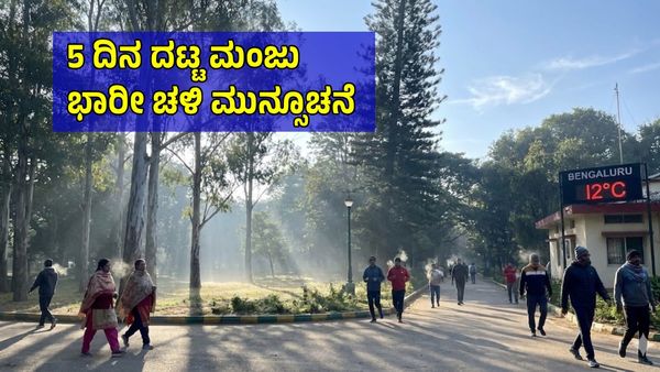 Karnataka Weather: ಈ ಭಾಗಗಳಲ್ಲಿ ಮುಂದಿನ 5 ದಿನ ವಿಪರೀತ ಚಳಿ! 17 ಜಿಲ್ಲೆಗಳಿಗೆ ಶೀತಅಲೆ ಎಚ್ಚರಿಕೆ 