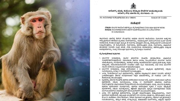 ಮಂಗನ ಕಾಯಿಲೆ ನಿಯಂತ್ರಣಕ್ಕೆ ರಾಜ್ಯ ಸರ್ಕಾರದಿಂದ ಮಾರ್ಗಸೂಚಿ ಪ್ರಕಟ: ಸಂಪೂರ್ಣ ಮಾಹಿತಿ ಇಲ್ಲಿದೆ