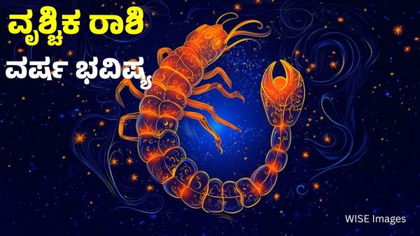 Scorpio Horoscope 2026: ವೃಶ್ಚಿಕ ರಾಶಿ ವಾರ್ಷಿಕ ಭವಿಷ್ಯ: 2026ರಲ್ಲಿ ಪ್ರೇಮ ವಿವಾಹ, ಧನಲಾಭ ಶುಭ -ಅಶುಭ ಫಲಗಳ ಮಾಹಿತಿ
