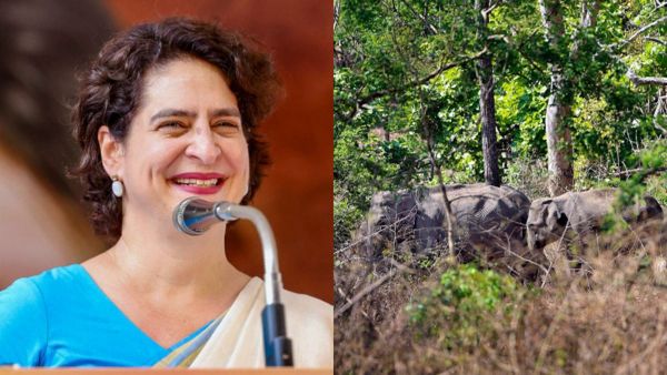 Bandipur: ಕರ್ನಾಟಕ - ಕೇರಳ ಬಂಡೀಪುರ ಸಂಚಾರ: ಪ್ರಿಯಾಂಕಾ ಗಾಂಧಿ ಸರ್ಕಸ್; ಸಚಿವ ನಿತಿನ್ ಗಡ್ಕರಿ ಸಾಥ್