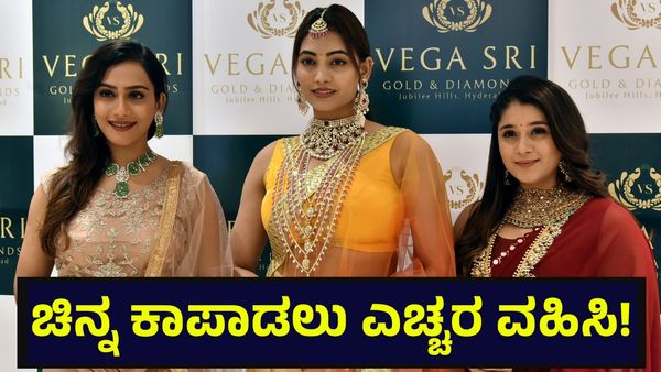 Gold Safety: ಚಿನ್ನ ಬ್ಯಾಂಕ್ ಲಾಕರ್‌ನಲ್ಲಿ ಇಟ್ಟಿದ್ದೀರಾ? ಹಾಗಾದರೆ ತಪ್ಪದೇ ಈ ಸುದ್ದಿ ಓದಿ...