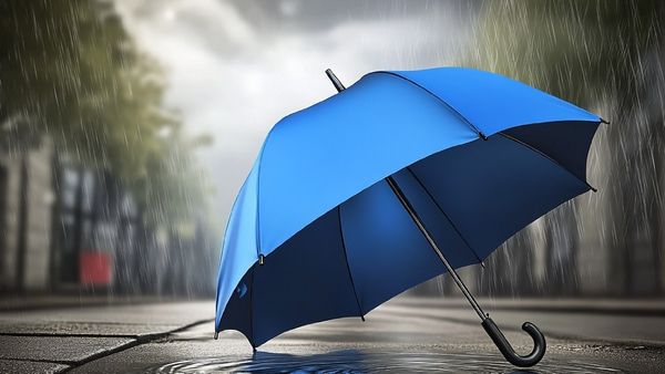 IMD Weather Forecast: ಈ ಭಾಗಗಳಲ್ಲಿ ಒಂದು ವಾರ ಗುಡುಗು, ಮಿಂಚು ಸಹಿತ ಭಾರೀ ಮಳೆ ಮುನ್ಸೂಚನೆ