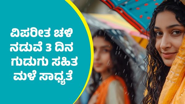IMD Weather Forecast: ವಿಪರೀತ ಚಳಿ ನಡುವೆ ಈ ಭಾಗಗಳಲ್ಲಿ ಮೂರು ದಿನ ಗುಡುಗು ಸಹಿತ ಮಳೆ ಮುನ್ಸೂಚನೆ