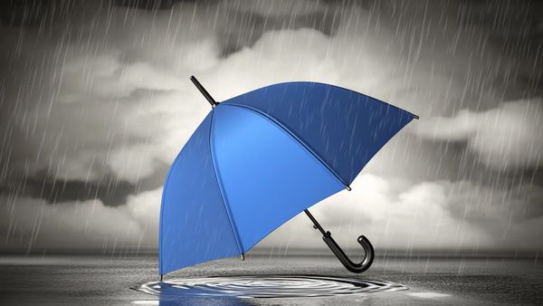 IMD Weather Forecast: ಈ ಭಾಗಗಳಲ್ಲಿ ದಟ್ಟ ಮಂಜು, ಶೀತಗಾಳಿ ನಡುವೆ ಭಾರೀ ಮಳೆ ಸಾಧ್ಯತೆ