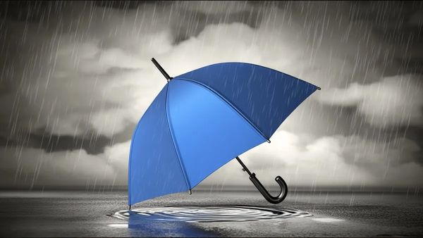 IMD Weather Forecast: ದೇಶದ ಈ ಭಾಗಗಳಲ್ಲಿ ದಟ್ಟ ಮಂಜು, ಭೀಕರ ಚಳಿ ನಡುವೆ ಸಾಧಾರಣ ಮಳೆ ಸಾಧ್ಯತೆ
