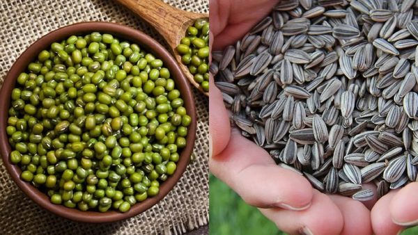 ರೈತರಿಗೆ ಶುಭಸುದ್ದಿ: ಕಲಬುರಗಿಯಲ್ಲಿ ಖಾರಿಫ್ ಬೆಳೆಗಳ ಖರೀದಿ ಅವಧಿ ವಿಸ್ತರಣೆ