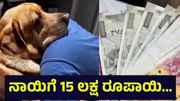 ಹೈದರಾಬಾದ್‌ ಟು ಆಸ್ಟ್ರೇಲಿಯಾಗೆ ನಾಯಿ ಕೊಂಡೊಯ್ಯಲು 15 ಲಕ್ಷ ಖರ್ಚು ಮಾಡಿದ ದಂಪತಿ: ಸೋಷಿಯಲ್ ಮೀಡಿಯಾ ಟ್ರೆಂಡ್